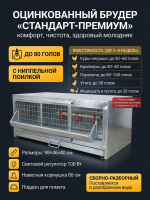 Брудер Б/Я Стандарт-премиум