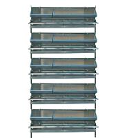 Клеточная батарея "Любимая-премиум" 5в1