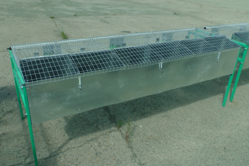 Клетка "КМ-6С-стандарт" для промышленного кролиководства