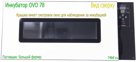 Инкубатор OVO 78