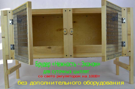 Брудер Нежность-эконом