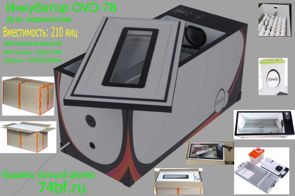 Инкубатор OVO 78 для перепелов
