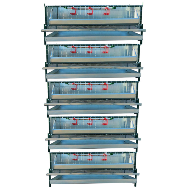 фото Клеточная батарея "Надежная-профи-4" для перепелов