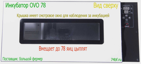 Инкубатор OVO 78 с перегородками