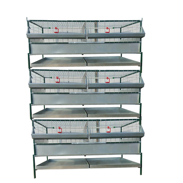 Фото клетка для бройлеров Любимая-профи