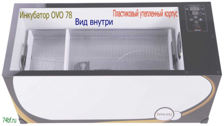 Инкубатор OVO 78 с перегородками
