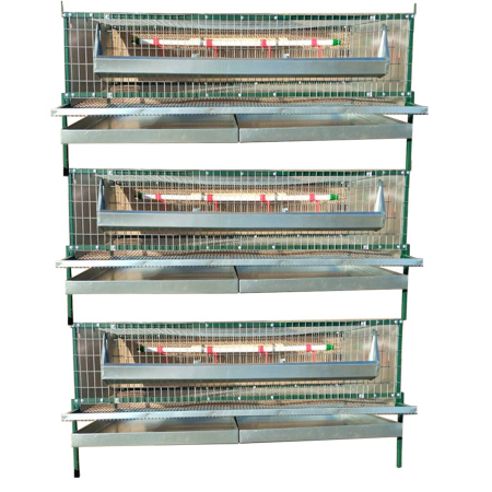 Клеточная батарея "Любимая-профи" для перепеловодства