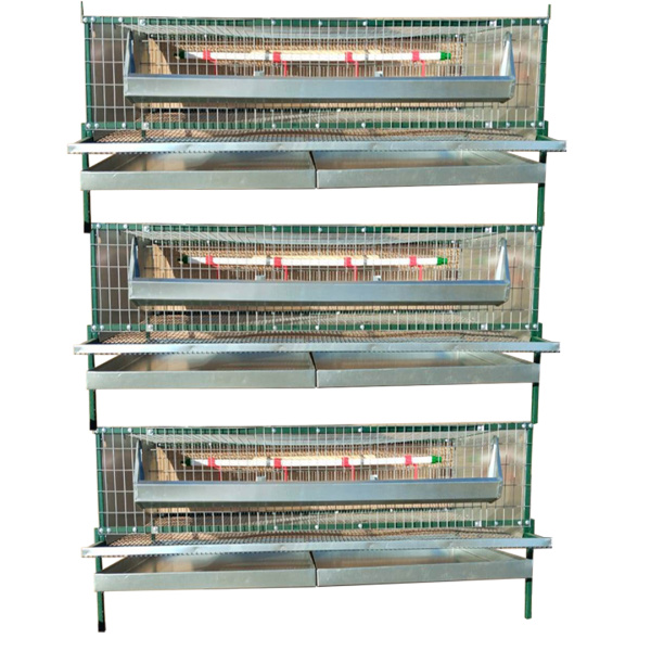 Клетка "Любимая-профи" для перепеловодства