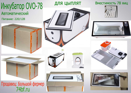 Инкубатор OVO 78 с перегородками