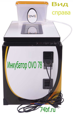 Инкубатор OVO 78 с перегородками