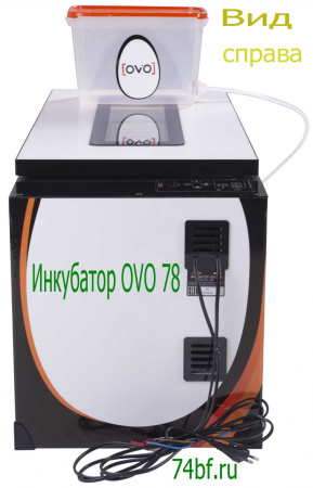 Инкубатор OVO 78