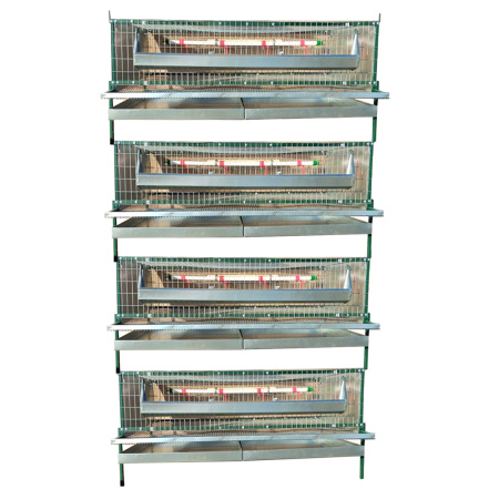 Клеточная батарея "Любимая-профи" для перепеловодства