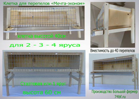 Клетка "Мечта-Эконом 1" для перепелов