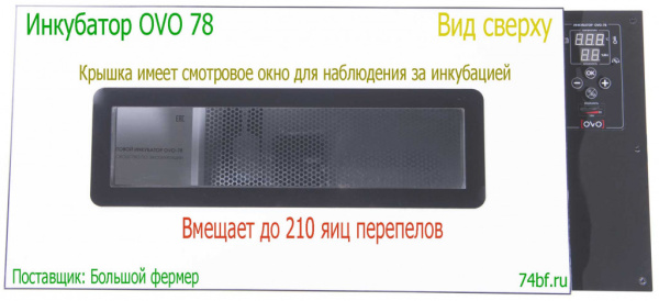 Инкубатор OVO 78 для перепелов