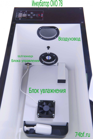 Инкубатор OVO 78