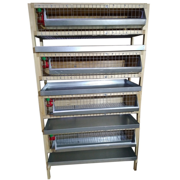 Ферма "Откорм-профи" для перепелов