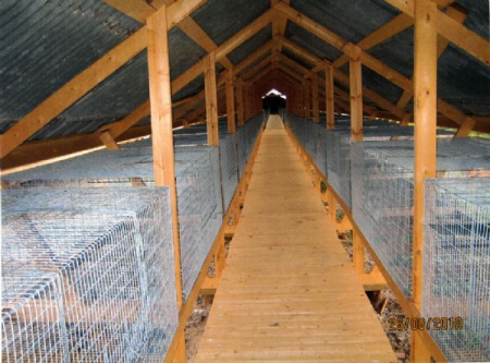 Клетка песца (Лиса) на 4 места