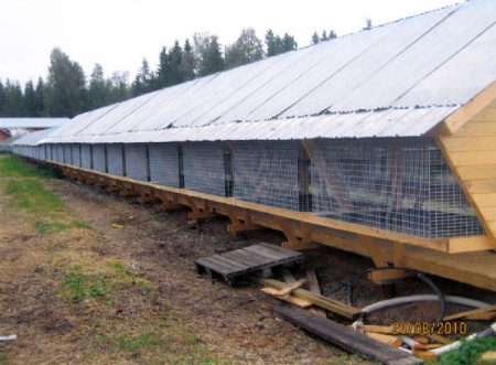 Клетка песца (Лисы)