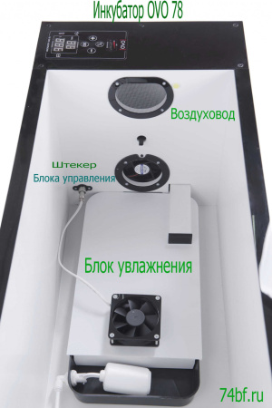 Инкубатор OVO 78 с перегородками
